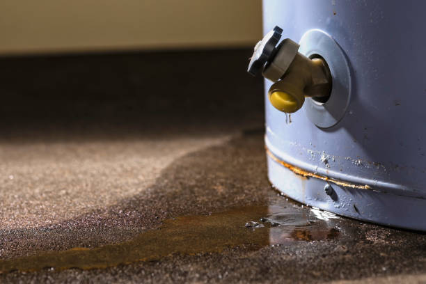 Best Carpet water damage restoration  in USA